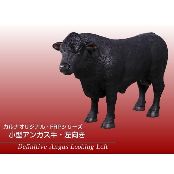 牛 の 頭 ですさん専用 fr150382 アンガス牛の頭部 / Angus Bull Shoulder Mount 1個