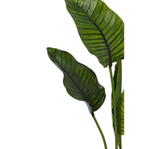 グローベン リフェイクグリーン 人工植物 樹木・軒下用 トラベラーズパーム 専用鉢付き A70TN555 |  | 01