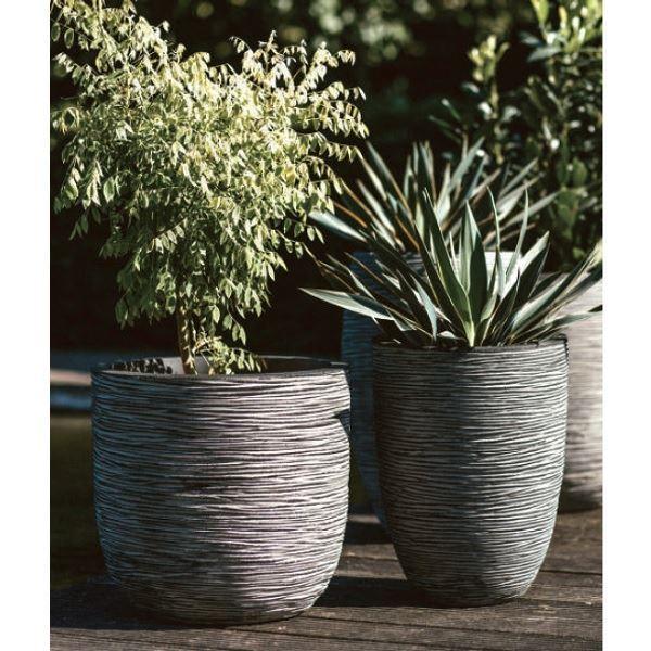 トーシン Capi ネイチャー リブ ベイス S CTN-KOFI782 アイボリー トーシン