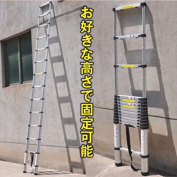 Hill Stone(ヒルストーン) 伸縮はしご 5.0m zk135 Hill Stone(ヒルストーン) 伸縮はしご 5.0m zk135