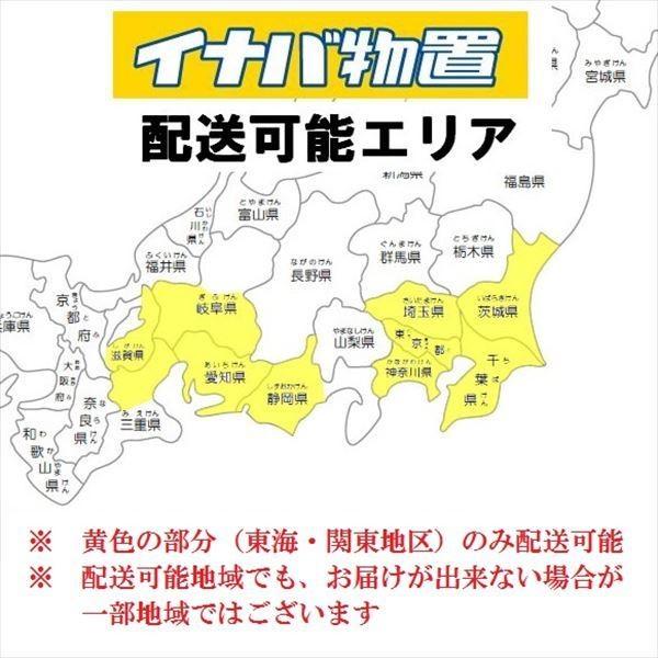『配送は関東・東海限定』 イナバ物置 ガレーディア GRN-3662JL-2 豪雪地型 『2連棟タイプ』 『シャッター車庫 ガレージ』|kiro|03