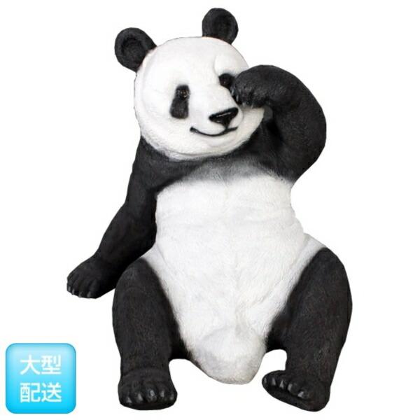 FRP 戯れるパンダ / Slouching Panda (Not in Aus) fr110107 『動物園