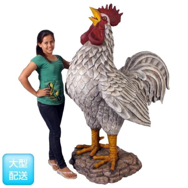 FRP 巨大な雄鶏 / Colossal Barnyard Rooster fr110114 『動物園