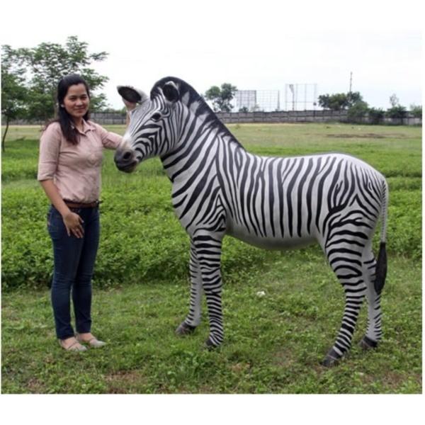 FRP シマウマ / ZeBra fr110075 『動物園オブジェ アニマルオブジェ