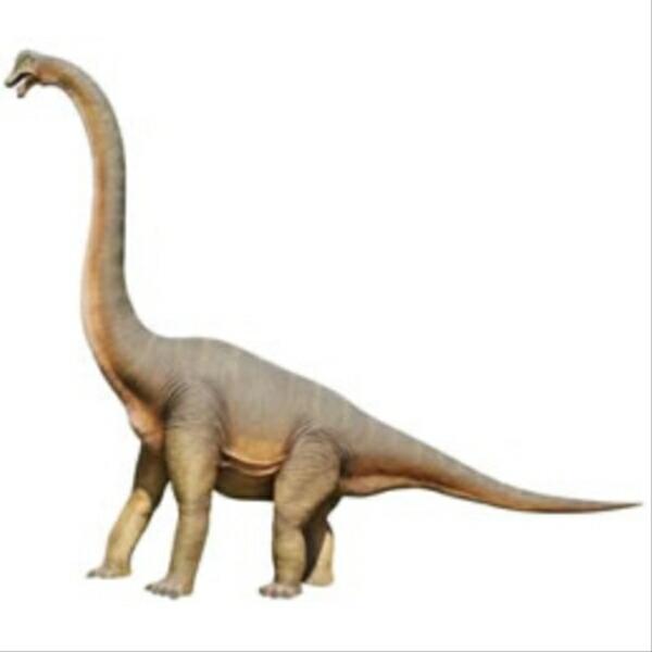 FRP 立ち向かうブラキオサウルス / Brachiosaurus fr100055 『恐竜