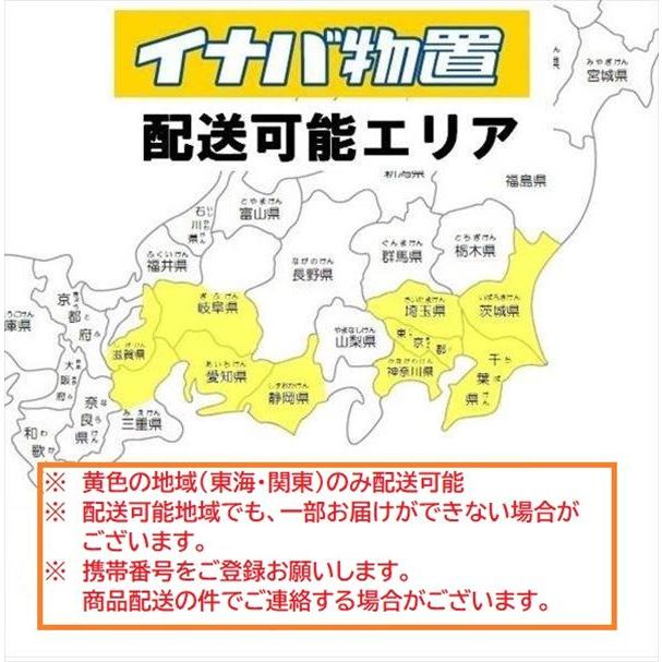 物置 屋外 おしゃれ 『配送は関東・東海限定』イナバ物置 BJX／アイビーストッカー BJX-067E EB 全面棚タイプ 『屋外用ドア型収納庫 DIの画像
