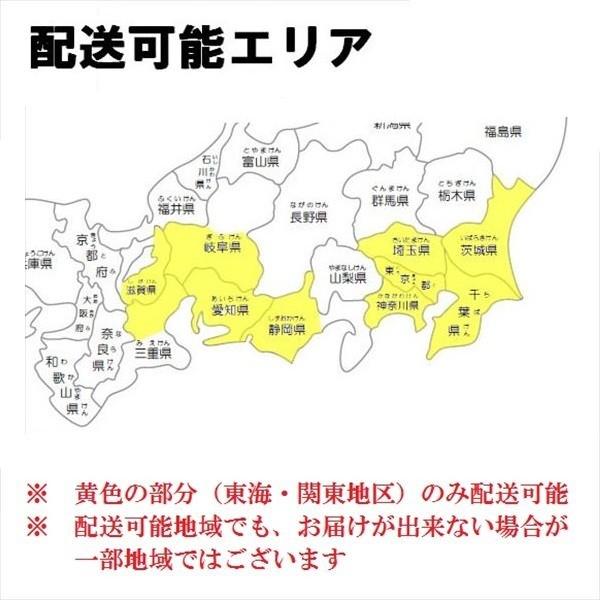 『配送は関東・東海限定』 リクシル タイルデッキ 間口側ステップ納まり 1段 間口：3600mm×出幅：3000mm 基礎束柱Aセット_5