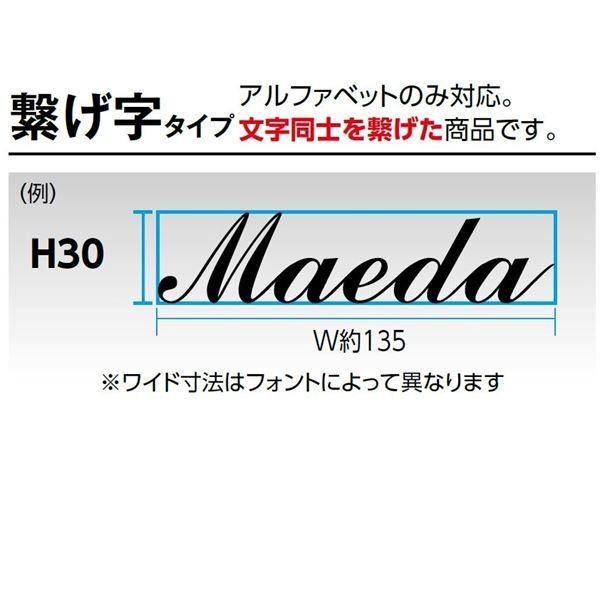 タカショー　De-signシリーズ　letter　つなげ字H30（10文字以内）　『表札　サイン　cube　戸建』　HDA-H005