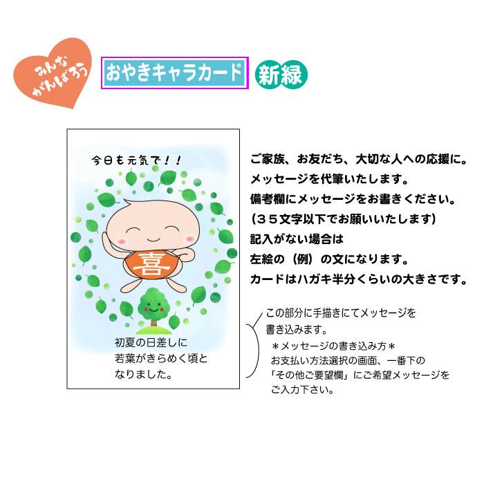 おやき 内祝 ギフト 冷凍 長野 石臼挽き地粉おやき10個セット 詰合