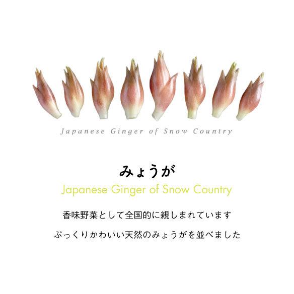 みょうが　ミニトート |  | 02