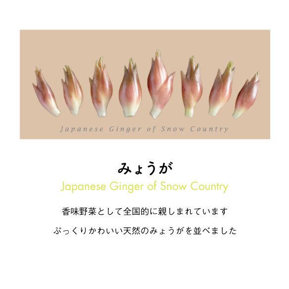 みょうがパーカー サンドベージュ 裏起毛 |  | 01