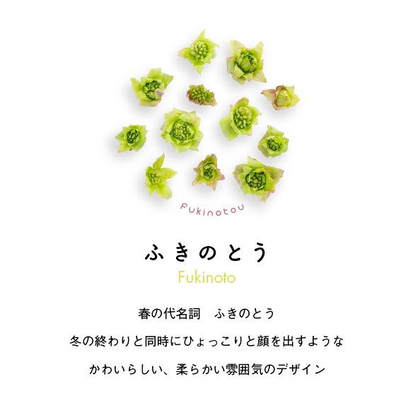 ふきのとうTシャツ　ホワイト |  | 01