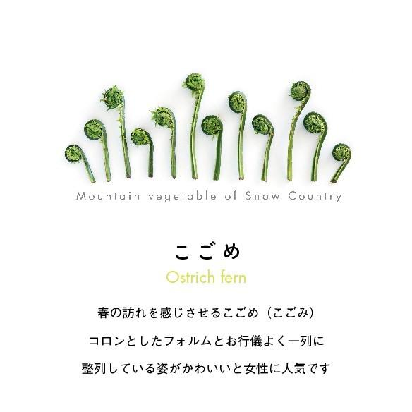 こごめ手ぬぐい |  | 03
