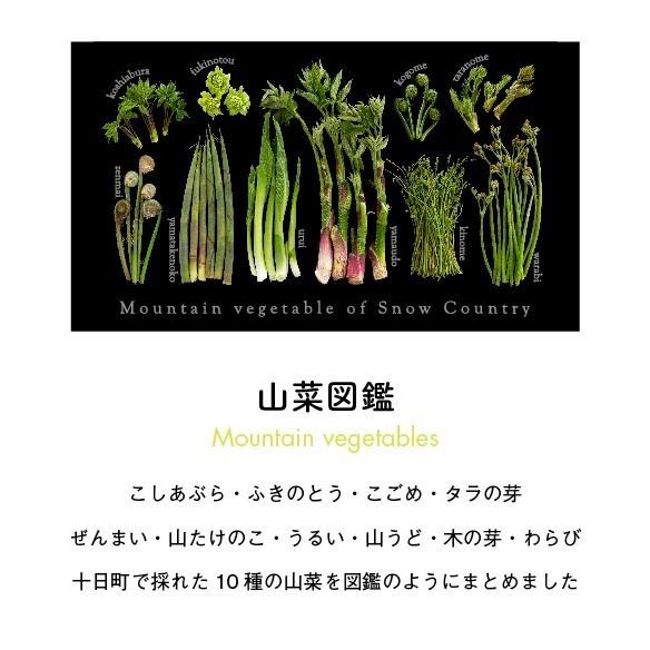 山菜図鑑トラベルトート　ネイビー |  | 07