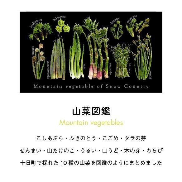 山菜図鑑トラベルトート　グリーンオリーブ |  | 08