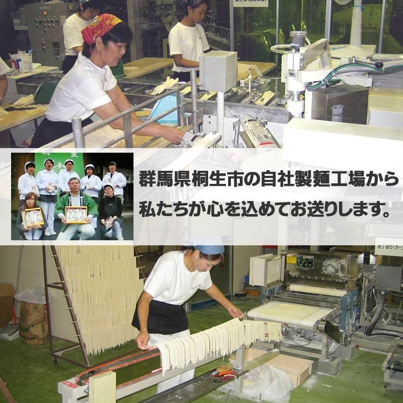 うどん 幅広めん ひも川うどん 並麺 170g×4袋入り 濃縮つゆ８食分 送料無料 乾麺 ゆで幅15mm ポイント消化 | ブランド登録なし | 03