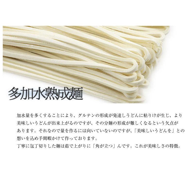 うどん 桐生うどん 10袋入り 270g×10  多加水麺 半生麺 ギフト 贈答品  国産小麦 群馬｜kiryu-udon｜08