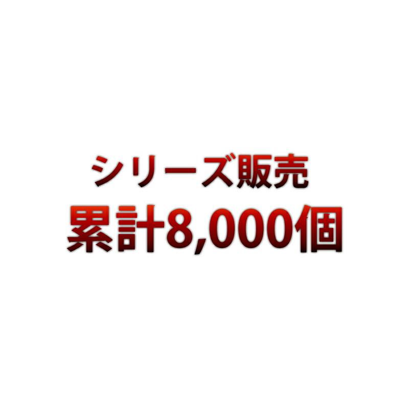 本日限定値下げ中 期間限定値下げ CL-WORK メーカー1年保証SK-56810倍強光5ライン