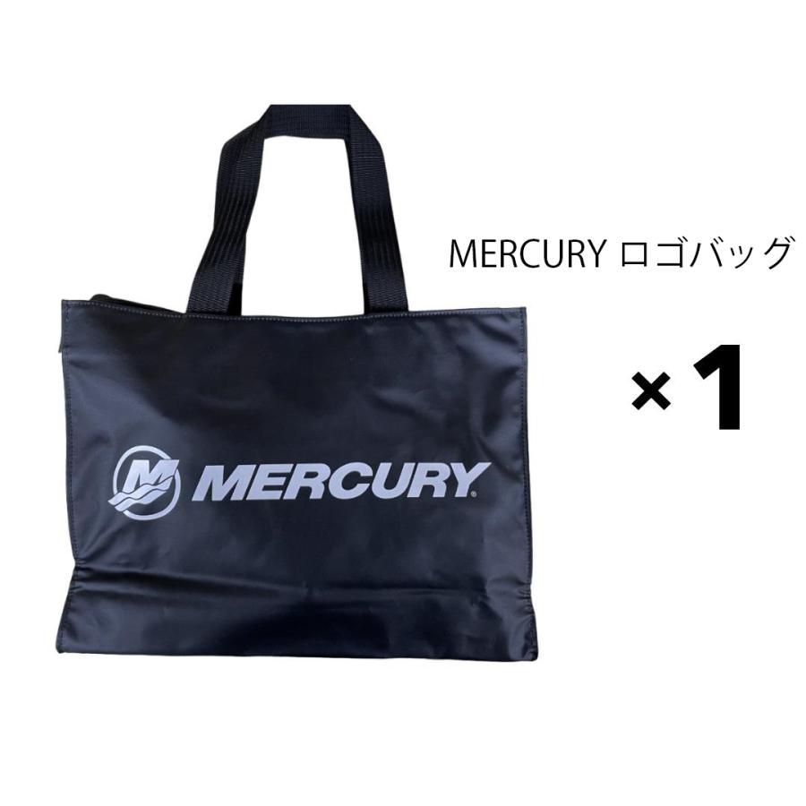 100時間 メンテナンスキット MERCURY マーキュリー 船外機 4ストローク V6 / V8 用 (シープロを除く)の画像