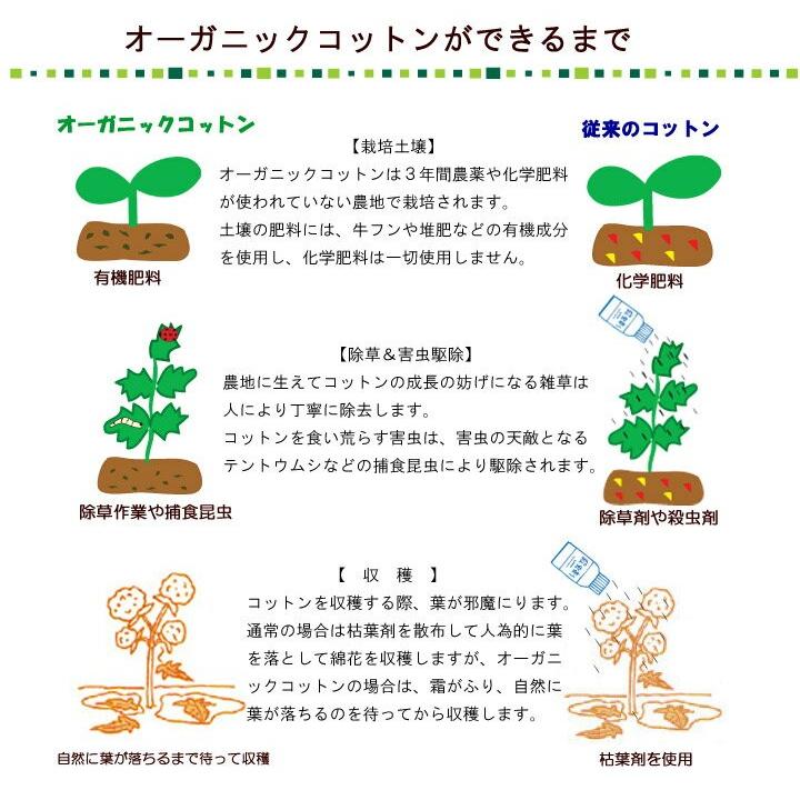 【ベビー布団 オーガニック 日本製】中綿までオーガニックコットンのベビー布団10点セット 《選べるカバー》オーガニックベビー布団カバー/無添加ガーゼベビー布_2