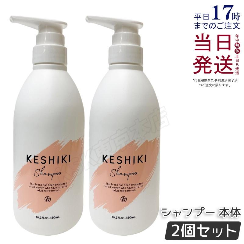 KESHIKI ケシキ シャンプー 480ml 2個セット 本体 ヘアトリートメント