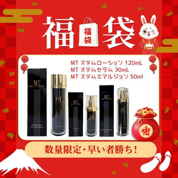 MTメタトロン MT メタトロン化粧品 3点セット ステムローション 120mL