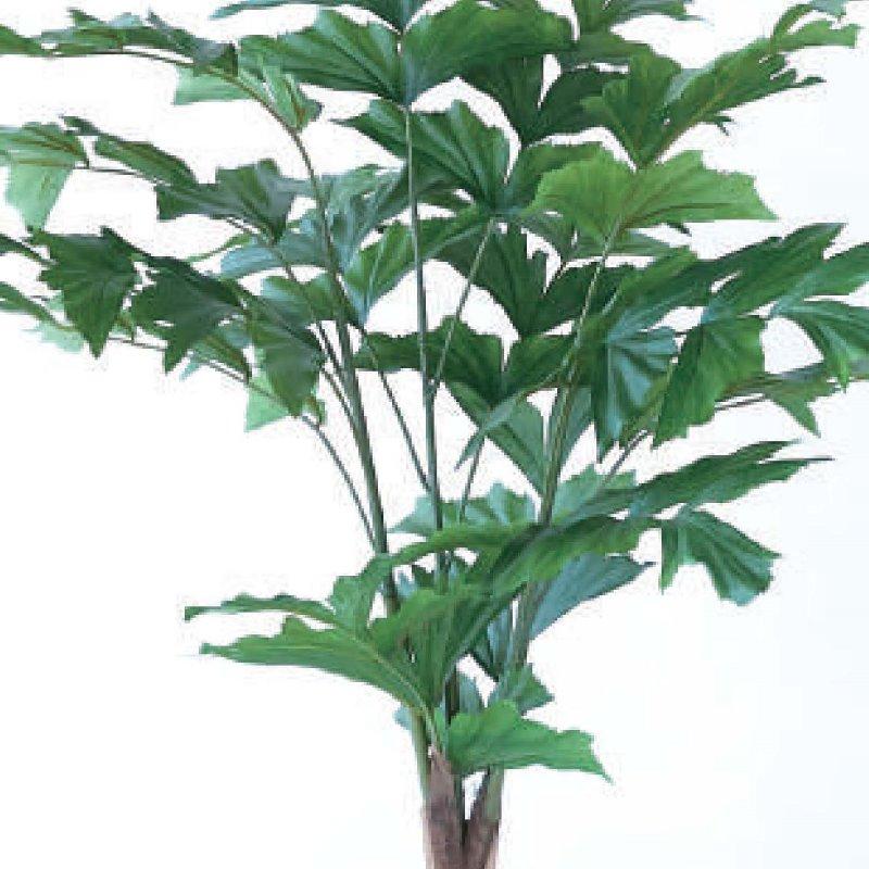 人工観葉植物 クジャクヤシ ポット 90 （6個入り） MIRAKANA_2