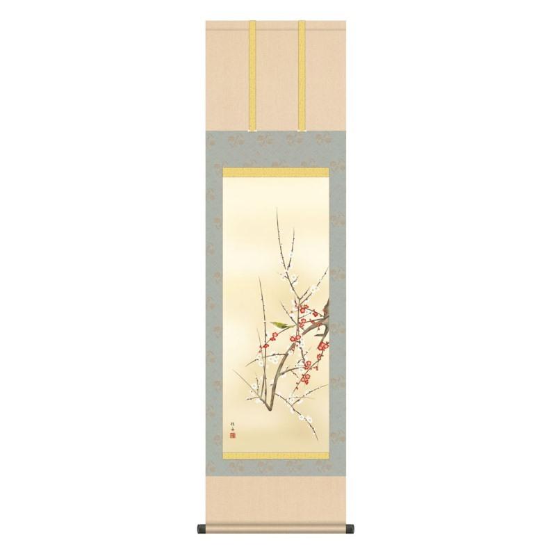 掛軸 日本画 花鳥画 長江桂舟 紅白梅に鶯 こうはくばいにうぐいす 尺三 KZ3MA2-098 (代引き不可)
