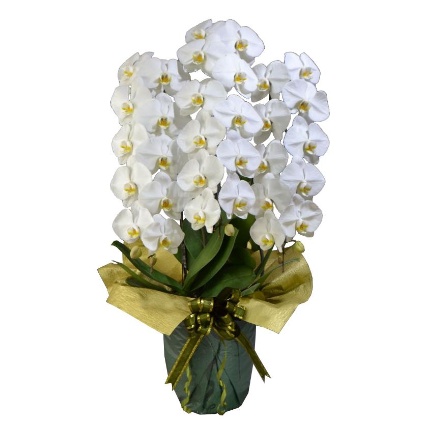 仏花 お供え花 初盆 造花 百合 カトレア アレンジ アートフラワー鉢花