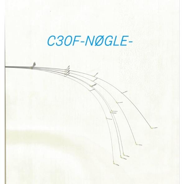 Alternative-Rod C30F-NOGLE- : アングラーズプラザ岸波ヤフー店