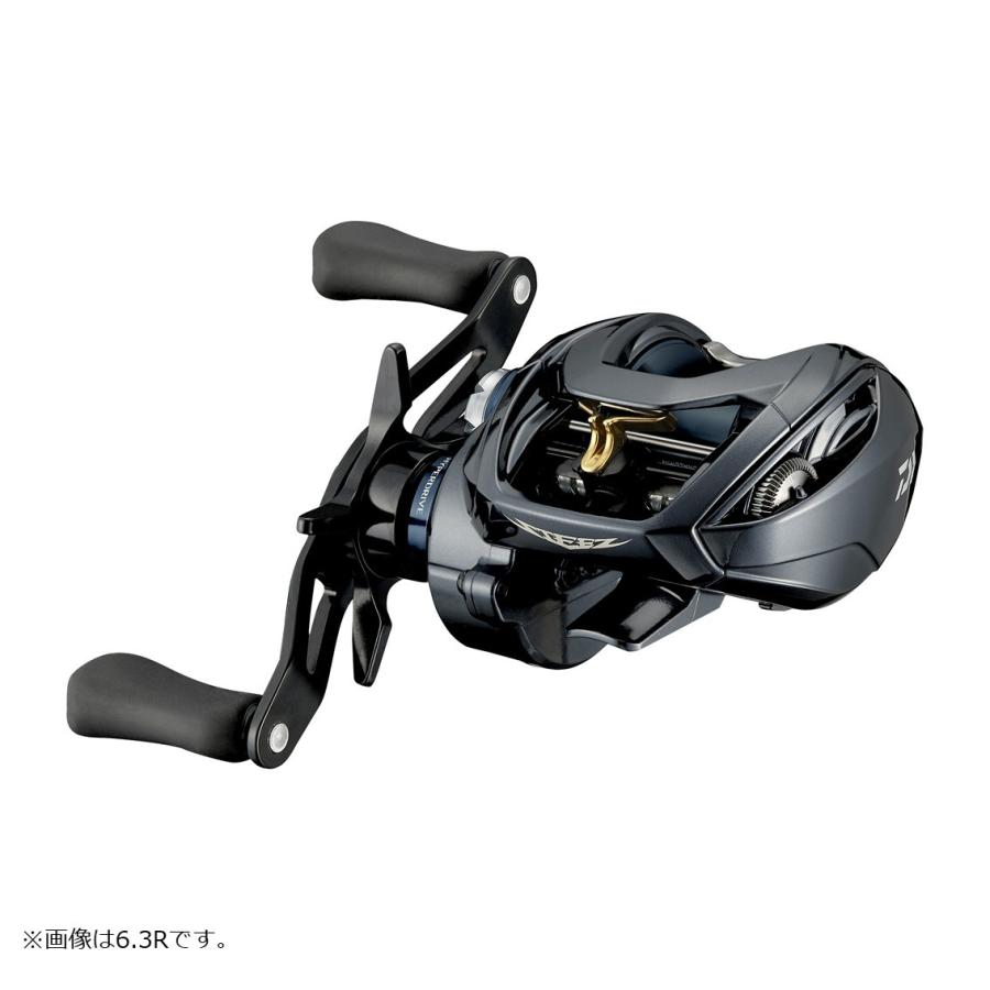 ダイワ　スティーズ　A TW 8.1 7.1 ２台セット DAIWA（ダイワ） スティーズ A TW HLC 8.1R : アングラーズプラザ岸波
