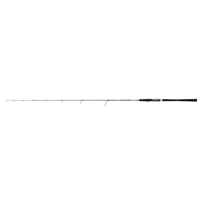 DAIWA（ダイワ） SALTIGA LJ 61H／XHS−S