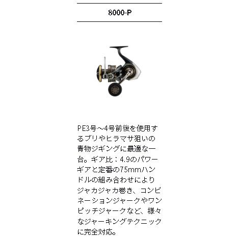 【値下げしました】22CALDIA SW 8000-P DAIWA（ダイワ） 【目玉商品】ダイワ 22 カルディア SW 8000-P (2023年