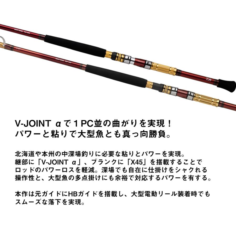 DAIWA（ダイワ） ディープゾーン 300-240・K : アングラーズプラザ岸波