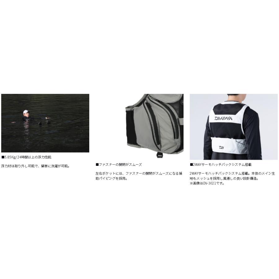 DAIWA(釣り) ダイワ DV?3025F フロートショート DAIWA(釣り) ダイワ DV?3025F フロートショート