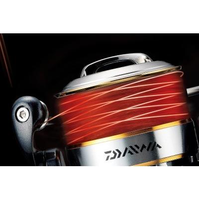 DAIWA（ダイワ） タマンモンスター 6000 : アングラーズプラザ岸波