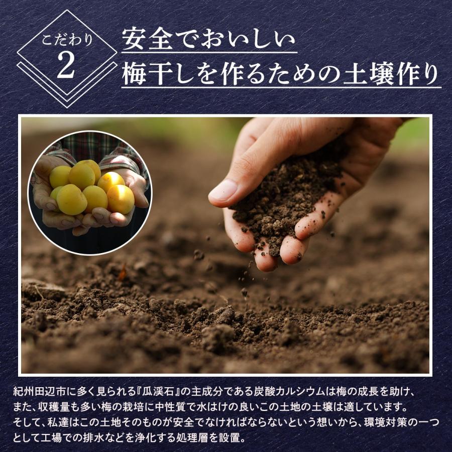 紀州南高梅ねり梅120g 税込300円 不動農園 自社農園 自社栽培 和歌山県 紀州南高梅 梅干し ギフト 紀州南高梅 梅干 ねり梅 梅干し ...