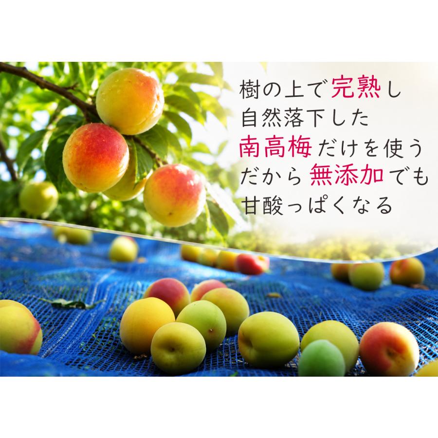 無添加 梅干し 訳あり つぶれ梅 減塩 塩分3% 紀州南高梅 (500g 2個