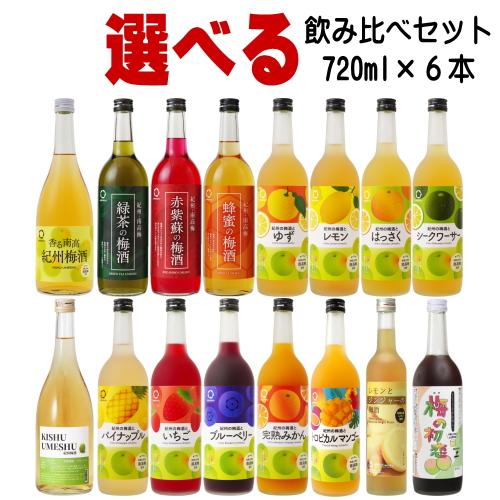 中野BC 紀州の梅酒 500ml 720ml 6本 飲み比べセット 送料無料 送料込み