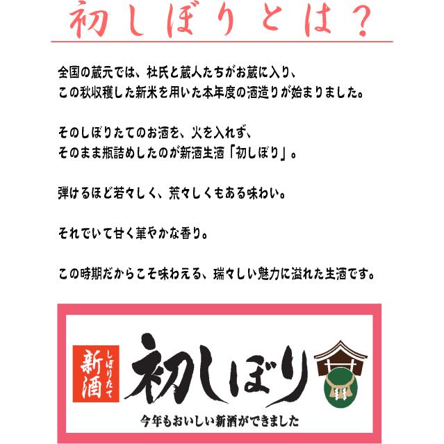 亀泉 純米吟醸 生原酒 CEL-24 1800ml 2024年 令和六年 新酒 亀泉 純米吟醸 生原酒 CEL-24 1800ml 2024年 令和六年 新酒