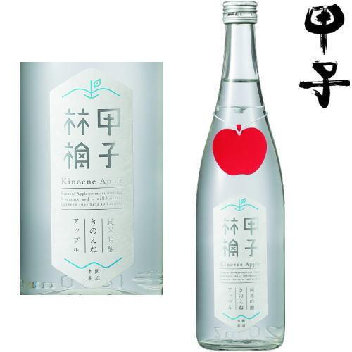 甲子 林本店 純米大吟醸 2本 蔵元林本店 | Kakamigahara-shi Gifu