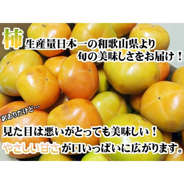 種なし柿 訳あり 和歌山県産 約7kg 送料無料(北海道、沖縄県、東北地方除く) 柿 九度山 冬 年末 ご自宅用 家庭用 果物 産地直送 食品｜kishuu-honpo｜02