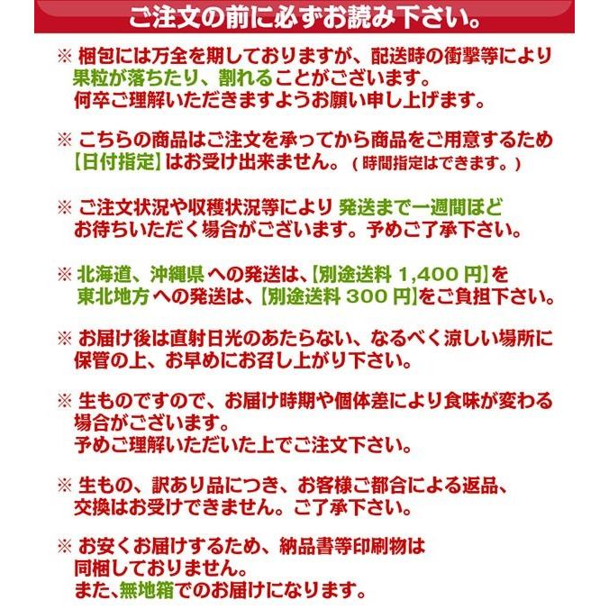 種なし巨峰 訳あり 和歌山県産 約1kg 2房 送料無料！(北海道、沖縄県、東北地方除く) ぶどう ブドウ 葡萄 種なし 巨峰 ご家庭用｜kishuu-honpo｜05