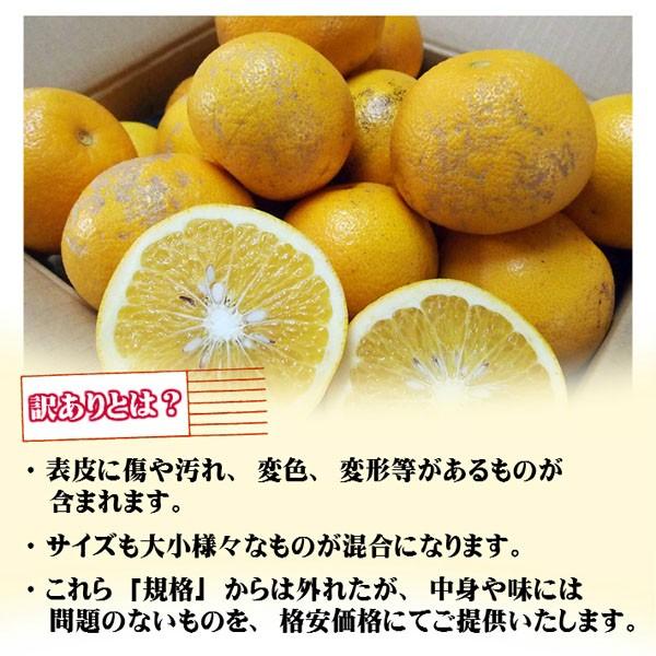 はっさく 訳あり 8kg 和歌山県産 送料無料(北海道、沖縄県、東北地方除く) 八 朔 ハッサク ご自宅用｜kishuu-honpo｜03