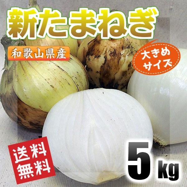 新たまねぎ 5kg L・LLサイズ 和歌山県産 秀品 送料無料！(北海道、沖縄県、東北地方除く) 玉ねぎ 玉葱 大玉｜kishuu-honpo