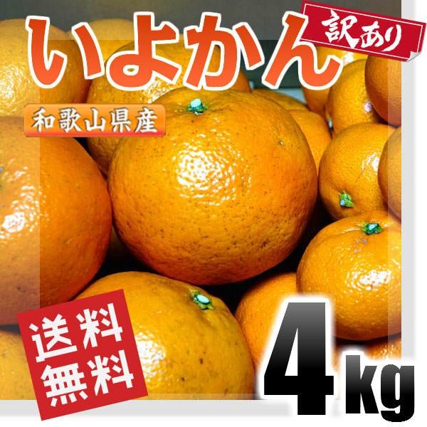 いよかん 伊予柑 訳あり 4kg 和歌山県産 送料無料(北海道、沖縄県、東北地方除く) 伊予柑 ご自宅用｜kishuu-honpo