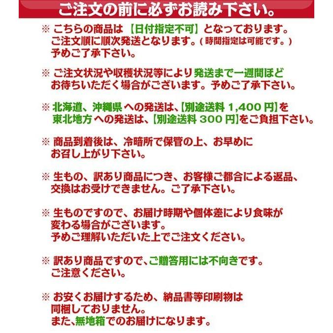 カラマンダリン 訳あり 10kg 和歌山県産 送料無料(北海道、沖縄県、東北地方除く) 春みかん ご自宅用 毎日好評発送中｜kishuu-honpo｜05