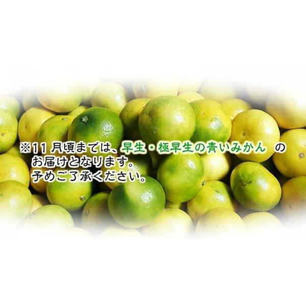 有田みかん 訳あり 20kg 和歌山県産 送料無料(北海道、沖縄県 有田みかん 訳あり 20kg 和歌山県産 送料無料(北海道、沖縄県
