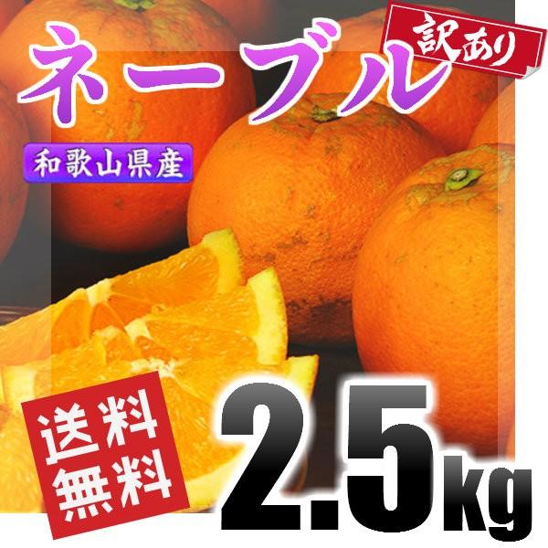 ネーブル 訳あり 2.5kg 和歌山県産 送料無料(北海道、沖縄県、東北地方除く) ネーブルオレンジ ご自宅用｜kishuu-honpo