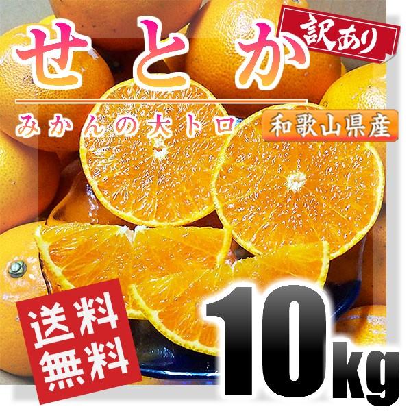 せとか 訳あり 10kg 和歌山県産 送料無料(北海道、沖縄県除く) せとか 高級みかん ご自宅用｜kishuu-honpo